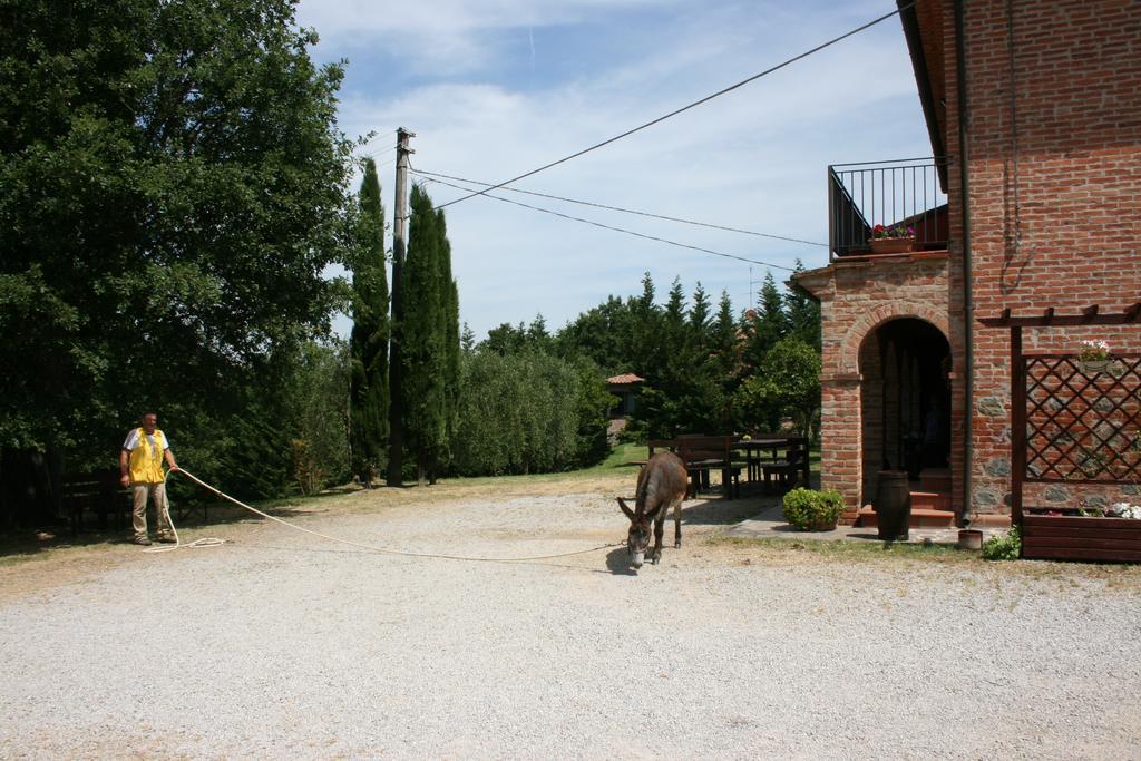 Villa Verde Lucignano Exterior foto